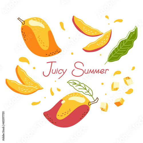 Banner with juicy mango fruits and text on a white background. Juicy summer. Vector illustration for prints, decor, banner