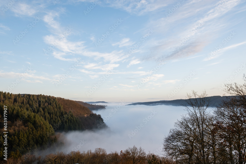 mosselle valley wine region in Germany filled with morning mist fog just after sunrise before the sun burns it off. dragons breath creates dreamy effect in natural beauty with perfect blue sky