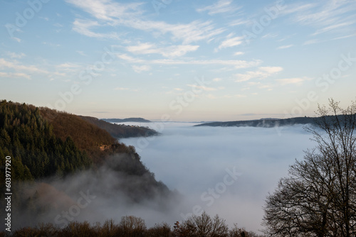 mosselle valley wine region in Germany filled with morning mist fog just after sunrise before the sun burns it off. dragons breath creates dreamy effect in natural beauty with perfect blue sky © drew