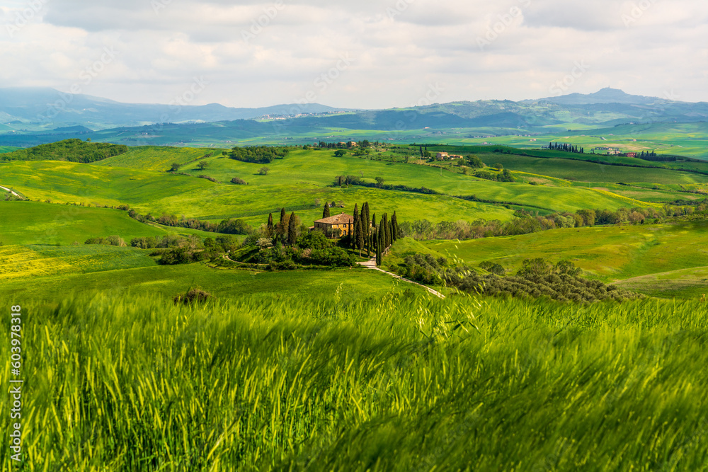 View of a farmhouses on a hill in the Orcia Valley near San Quirico d'Orcia