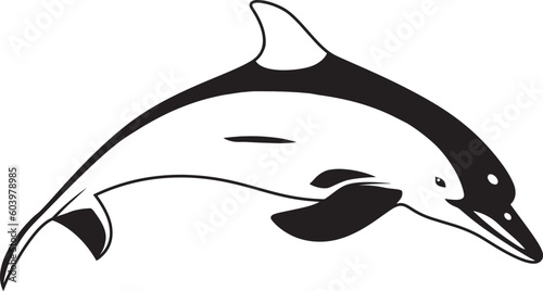 dolphin vector