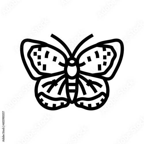 american copper insect line icon vector. american copper insect sign. isolated contour symbol black illustration