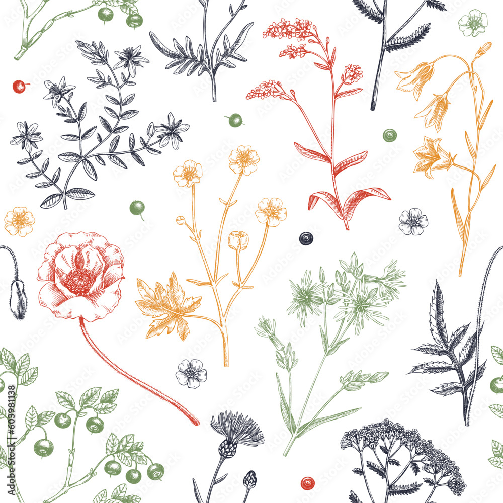 Summer background with flowers and berries. Wildflowers seamless pattern in sketch style. Herbs, meadows, flowering plants vector illustrations. Floral design in engraved style for textile or fabric
