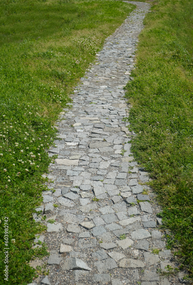 Stone path in perspective on green grass in summer garden. cobble stoned pathway in fresh spring grass meadow. texture background.