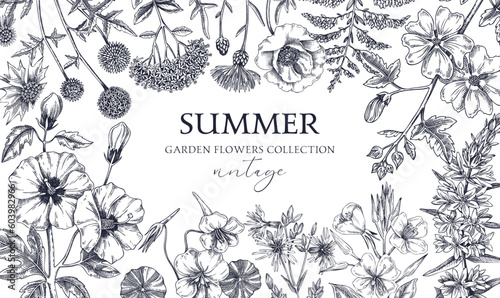 Hand drawn summer background. Garden flowers frame design in sketch style. Vintage botanical illustrations isolated on white. Floral banner for prints, cards, posters