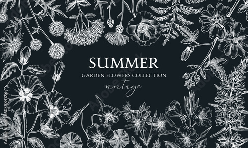 Hand drawn summer background. Garden flowers frame design in sketch style. Botanical illustrations on chalkboard. Floral banner for prints, cards, posters