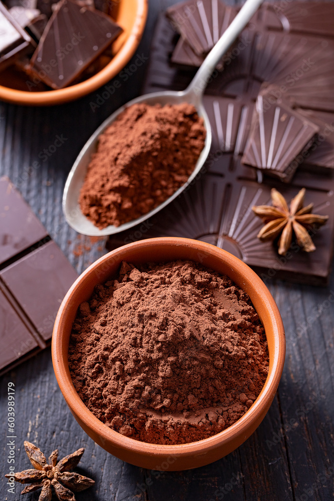 Ground cocoa and star anise in a ceramic plate and Ground cocoa and star anise in a ceramic plate and