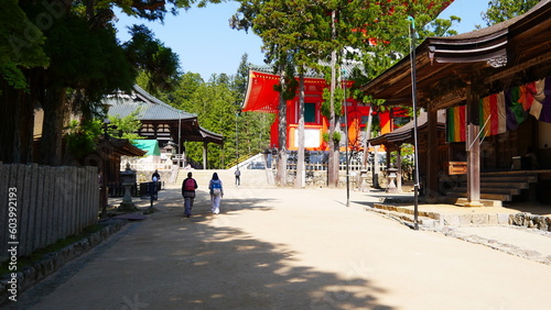 Kongobu-ji, le temple principal et secte bouddhique Shingon et Danjo Garan, le site le plus sacré du mont Koya, avec ses temples en bois écologiques et colorés, à travers une zone forestière aérée photo
