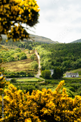 Countryside Ardara, Donegal, Northern Ireland. Wild atlantic way.