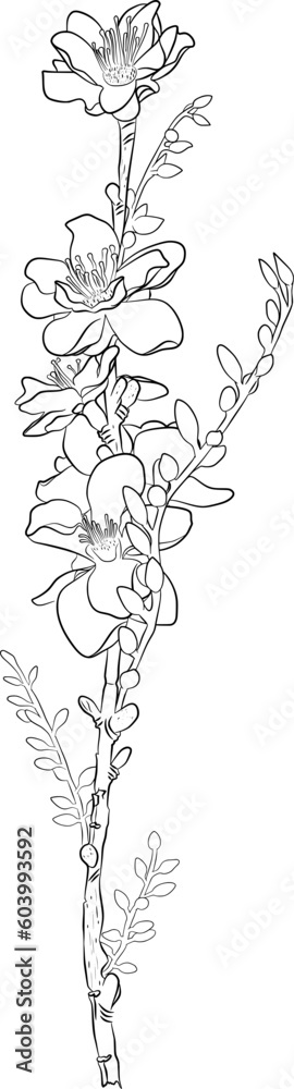 Flower Line Art Vol. 120 Flower Line Art Vol. 120