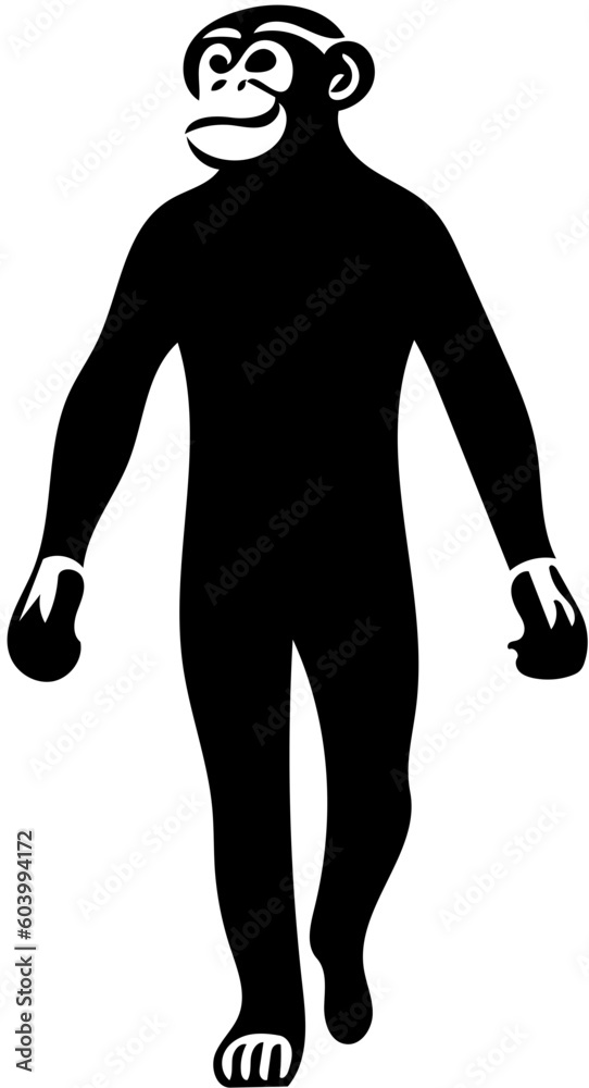 Fototapeta premium A big talk monkey walking vector illustration | Silhouette of a walking chimpanzee black and white 
