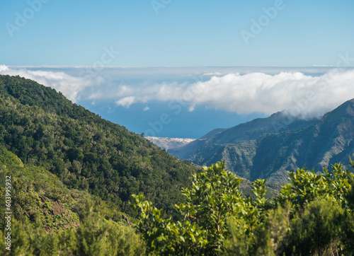 Scenic green landscape in Garajonay National Park with distant view of San Sebastian de La Gomera hiking trail from the Mirador de Roque Agando to La Laja on La Gomera, Canary Islands, Spain, Europe.