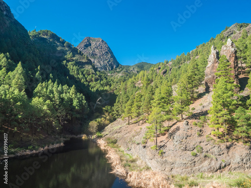 Water reservoir, dam and pine forest at small village La Laja along hiking trail with Los Roques, Roque de Ojila in the background, Garajonay National Park, La Gomera, Spain