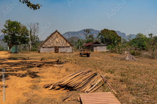 Farm for organic tobacco farming in the region of Vinales in Cuba.