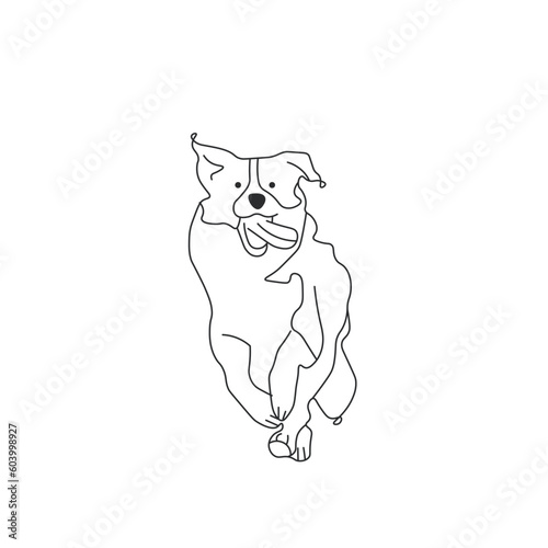 Fotografia One line drawing. Dog Vector illustration.  Border Collies breed