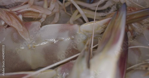 fresh prawns in box inside a village market and with laowa optics in the foreground in motion
