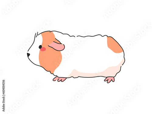 Teddy Guinea Pig Cartoon Vector Illustration. Isolated icon on white background.