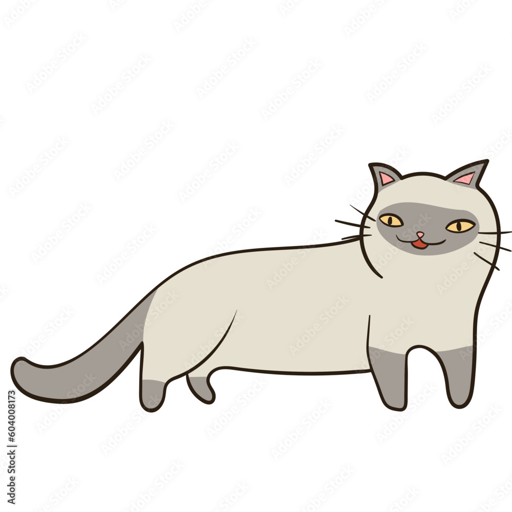 Cat Breed illustration_Tonkinese