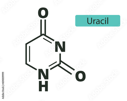 Uracil molecular skeletal  chemical formula on white background