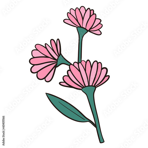 pink flower