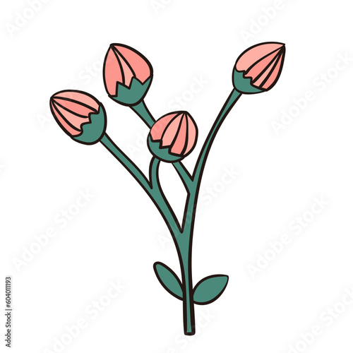 bouquet of tulips illustration