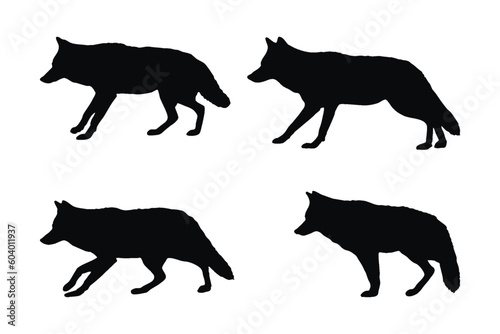 Coyote silhouette vector collection on a white background. Wild coyotes standing silhouette set design. Coyote standing and sitting. Coyote wolf black and white silhouette vector bundle.