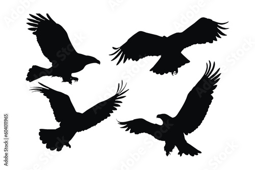 Big bird in different positions silhouette bundle design. Wild eagle flying silhouette set vector. Wild eagle vector design on a white background. Eagle flying silhouette collection.