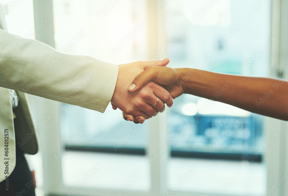 Handshake, success and hands of business people in office for onboarding, collaboration or agreement. Corporate, teamwork and and women shaking hand for thank you, welcome and hiring for recruitment