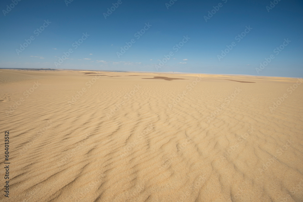 Barren desert landscape in hot climate with sand dunes