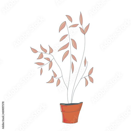 Flower in a pot isolated on white background. Home flower. Flowerpot. Cosiness. Vector illustration.
