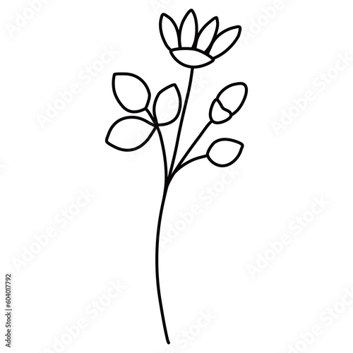 Black and white line art floral 