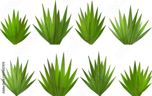 Green grass vector border on white or transparent background. Field or lawn isolated meadow turf. Realistic yard summer footer