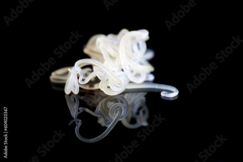 A group of entangled Anisakis parasitic worms, on a black background. Selective focus. photo