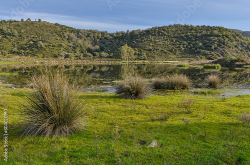 coastal lake at Tuzla beach near Kucukbahce  Karaburun  Izmir province  Turkiye 