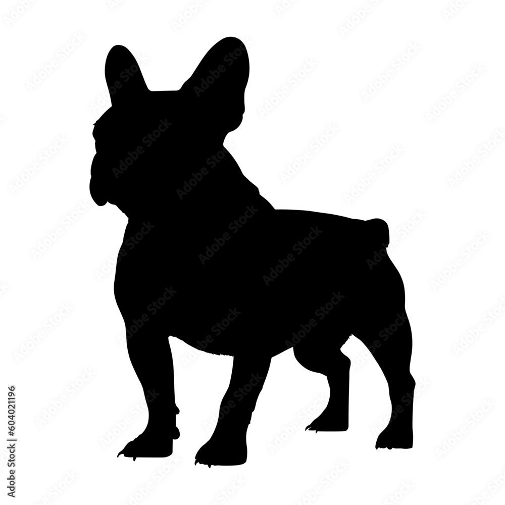 French bull dog silhouette isolated on a white background. Vector illustration