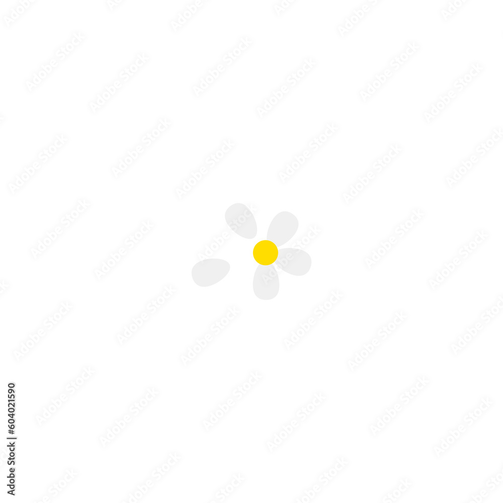 Plucked petals of a chamomile flower Plucked petals of a chamomile flower