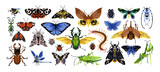 Insects species set. Different butterflies, beetles, bugs. Ladybug, dragonfly, flying bumblebee, grasshopper, giant centipede. Summer fauna. Flat vector illustrations isolated on white background