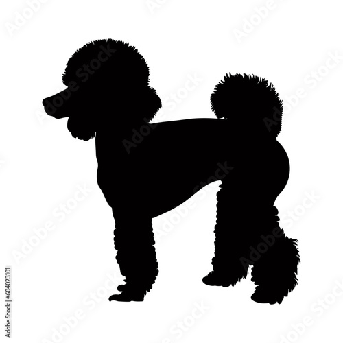 Poodle dog silhouette isolated on a white background. Vector illustration