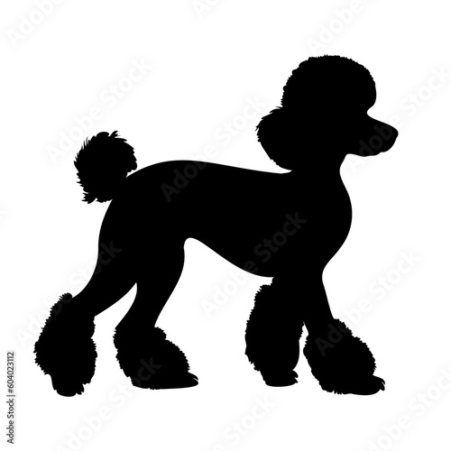 Walking Poodle dog silhouette isolated on a white background. Vector illustration