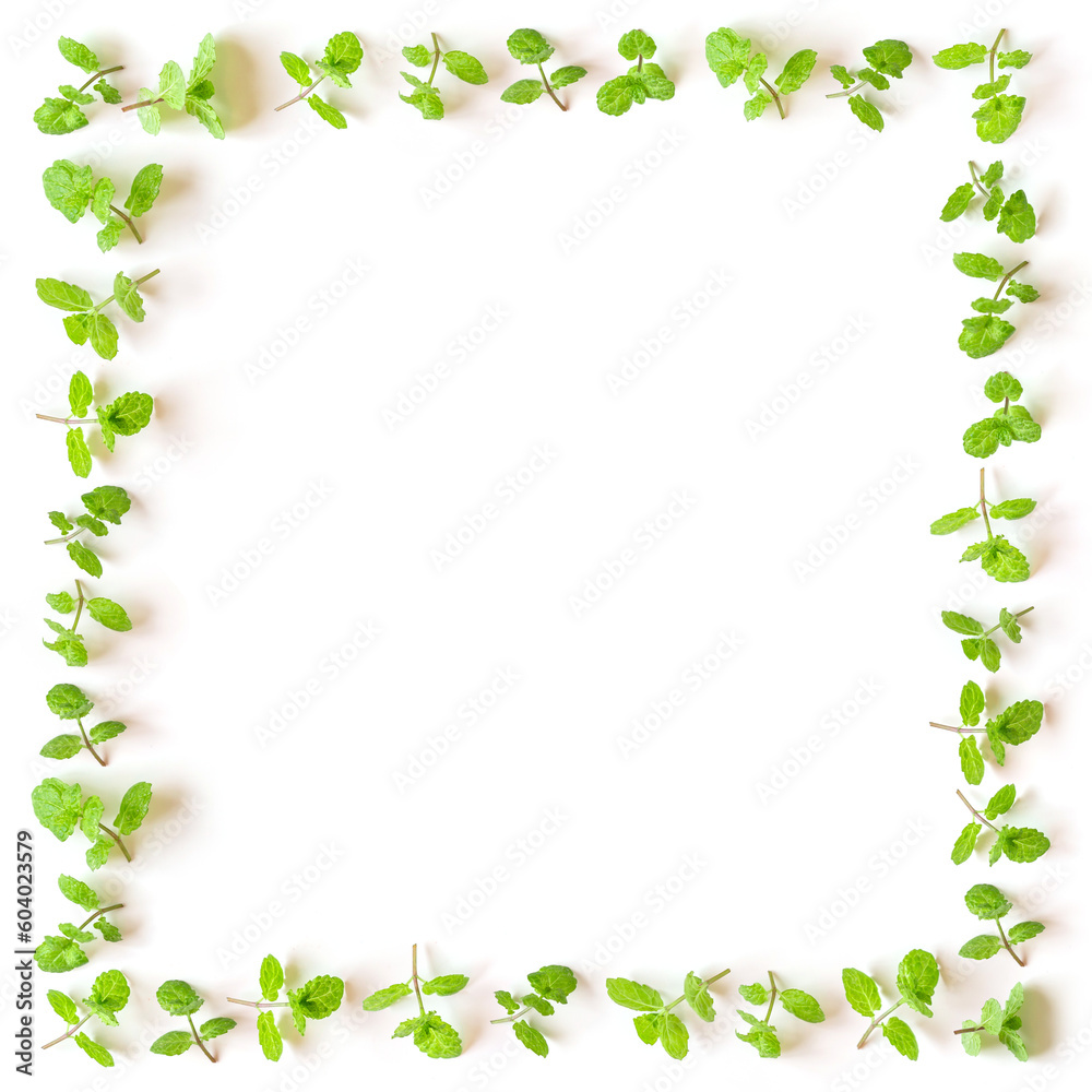 Fresh mint square frame isolated on white background Fresh mint square frame isolated on white background