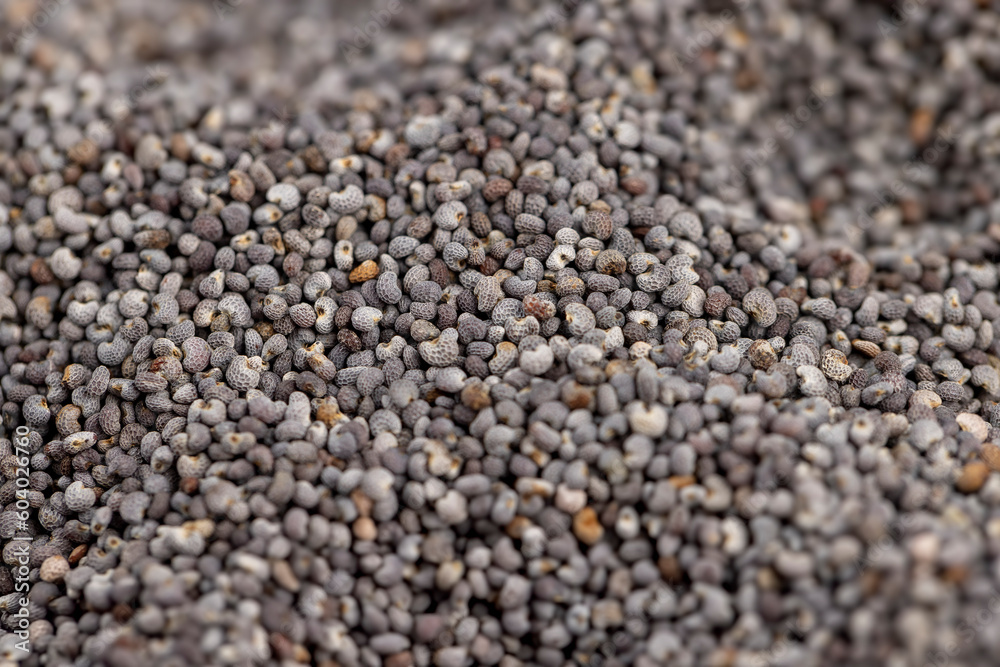 a close-up of a pile of poppy seeds used in cooking