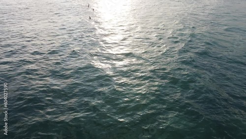 Wallpaper Mural Aerial view of surfers in the ocean waiting for the waves. High quality photo Torontodigital.ca