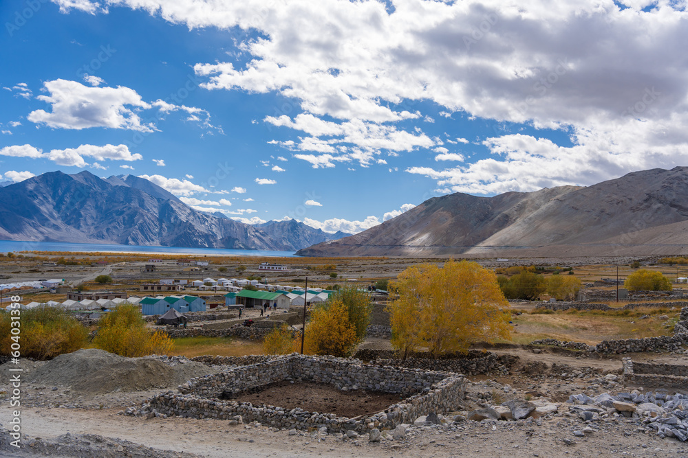 Autumn landscape with fallen leaves in the way from Pangong Lake to Tso Moriri, Leh, Ladakh, Jammu and Kashmir, India Autumn landscape with fallen leaves in the way from Pangong Lake to Tso Moriri, Leh, Ladakh, Jammu and Kashmir, India