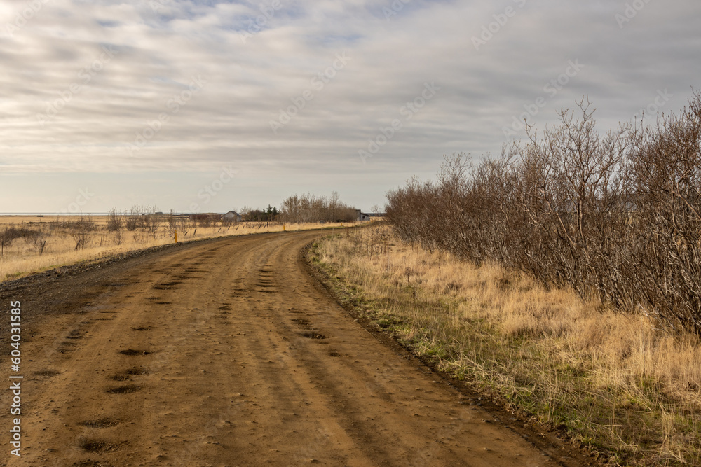 Gravel road in the lowland, south Iceland