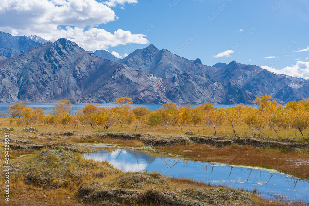 Grass fields in the valley, mountains around the lake and blue sky