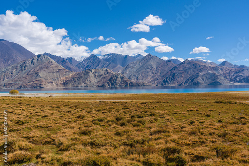 Grass fields in the valley, mountains around the lake and blue sky