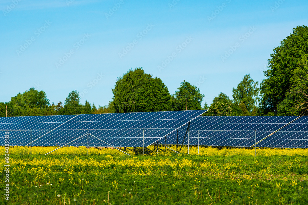 Solar power plant - concept for electricity and ecological industry Solar power plant - concept for electricity and ecological industry