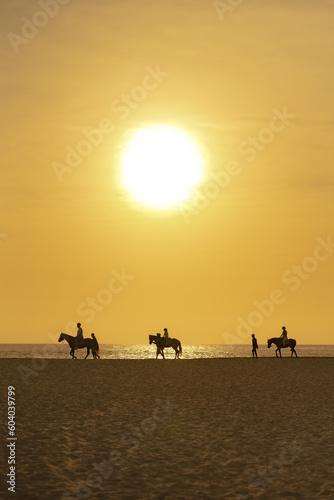 Sunset Sunrise Of 3 horses walking on the beach next to the ocean.