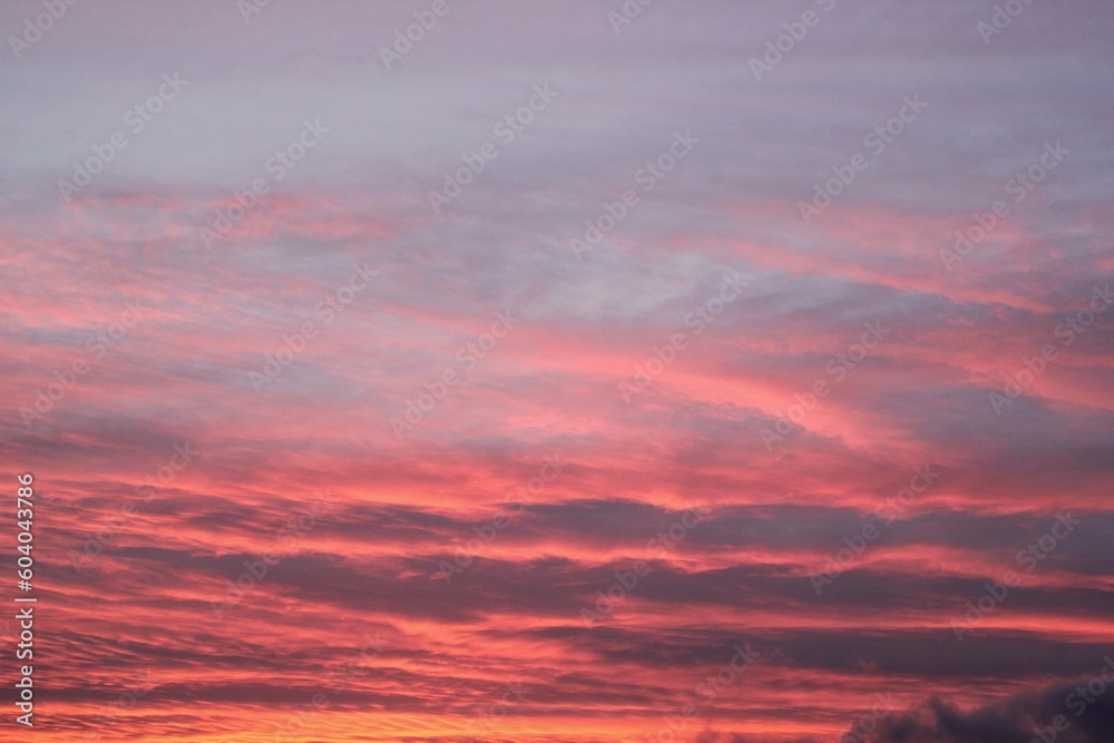 Twilight sunset sky. Nature background. Soft golden clouds. Sunrise early morning. Dramatic pastel panorama. Aerial view. Abstract landscape texture
