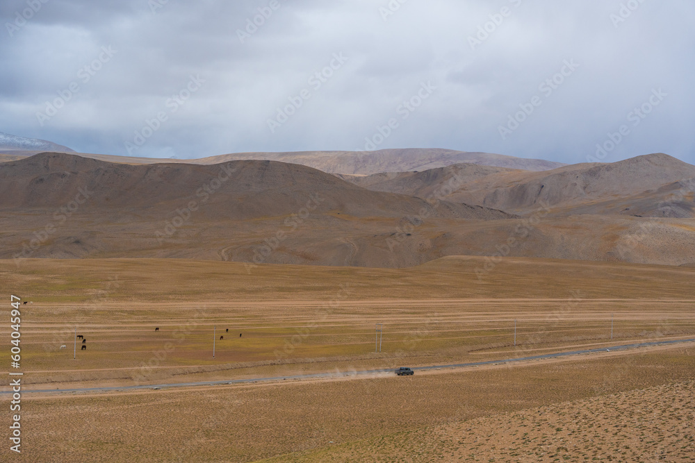 Obraz premium Landscape of Desert mountains against clouds sky at the way from Pangong Lake to Tso Moriri, Leh, Ladakh, Jammu and Kashmir, India